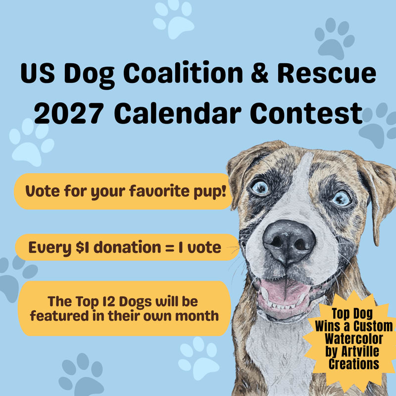 A brown and white dog sits in the foreground against a light blue background featuring paw prints and text announcing a 2027 calendar contest.