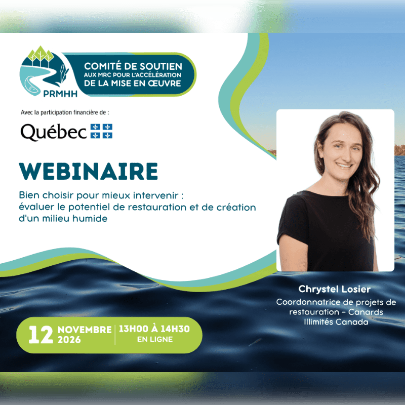 A promotional flyer for a webinar featuring a portrait of Chrystel Losier in the foreground against a background of blue water and a white graphic overlay with text.