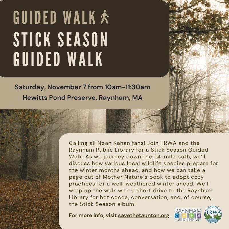 An event flyer for a "Stick Season Guided Walk" features text overlays in the foreground against a background of a misty, autumnal forest.