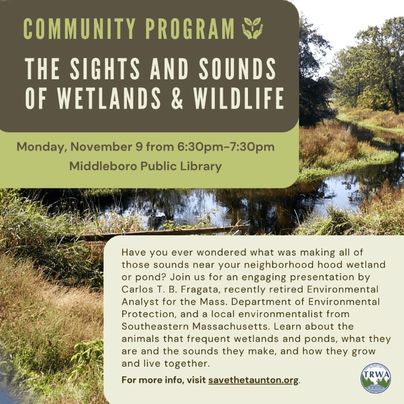 Text overlays for a community program about wetlands and wildlife sit atop a scenic landscape featuring a calm stream and lush greenery.
