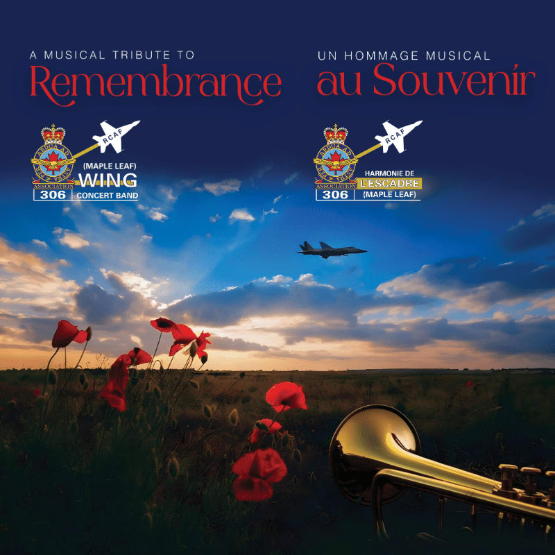 Red poppies and a brass instrument sit in the foreground of a field under a cloudy sky where a jet flies.