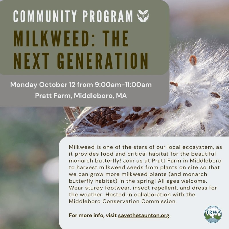A promotional flyer for a milkweed seed harvesting program features a close-up of fluffy seed pods in the foreground and a blurred natural background.