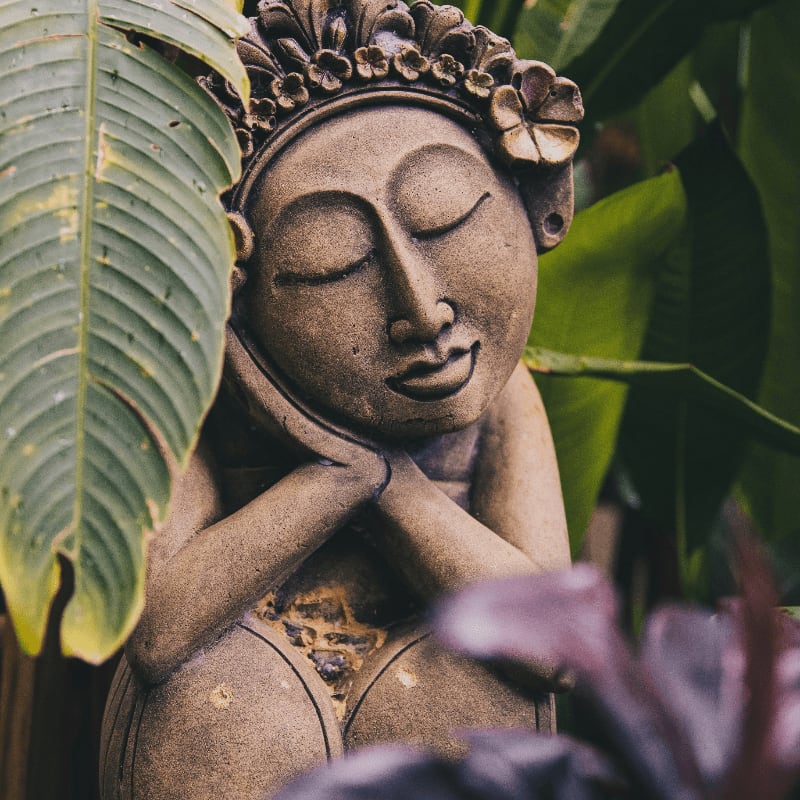 Buddha sleeping statue near green plant