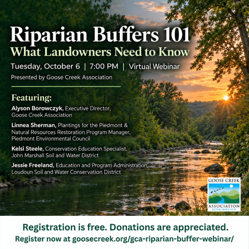 Text detailing a webinar on Riparian Buffers is overlaid on a scenic landscape featuring a flowing river in the foreground and a sunset over a forested horizon in the background.