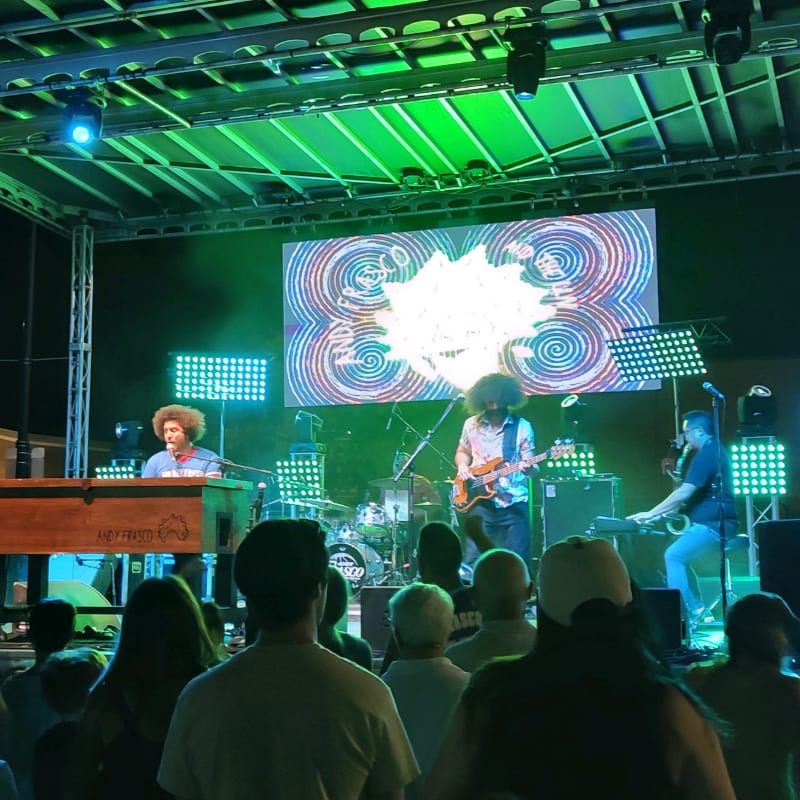A band performs on a stage with a psychedelic backdrop, while an audience watches from the foreground.