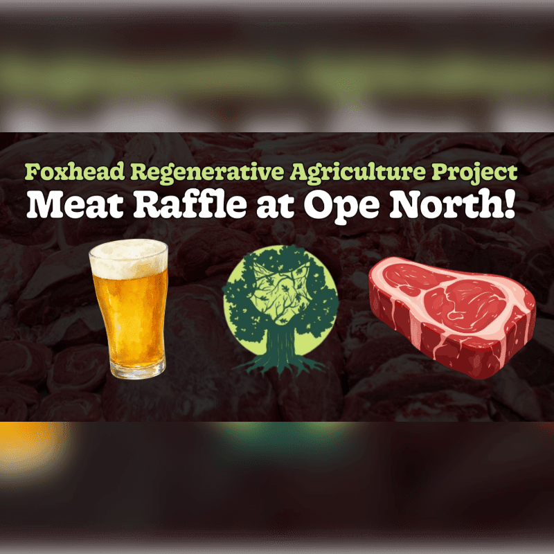 A glass of beer, a fox logo, and a raw steak sit in the foreground against a background of dark red meat and promotional text.