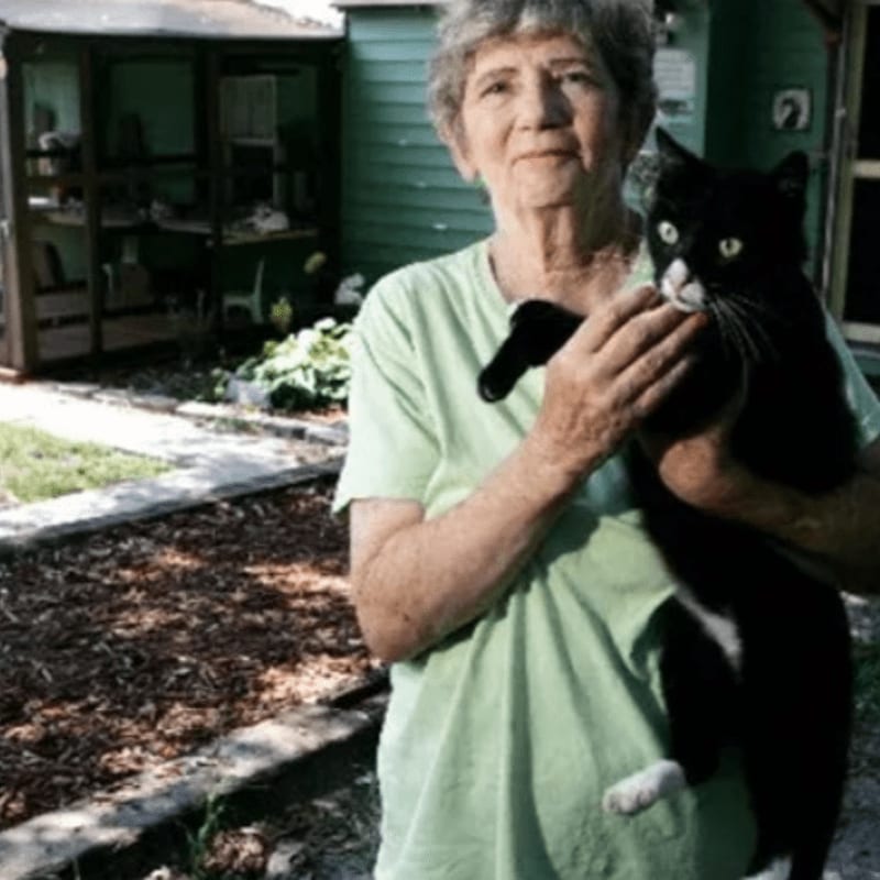 An elderly woman in a light green shirt holds a black and white cat in front of a green building and a garden area.