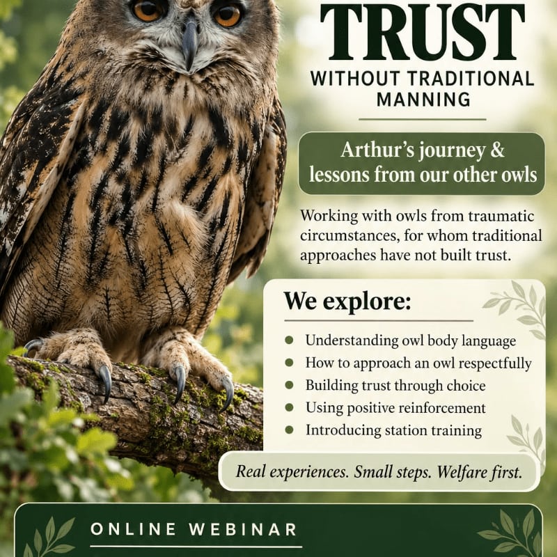 A large owl perches on a mossy branch in the foreground, set against a blurred green forest background with promotional text for an online webinar.