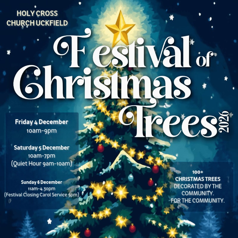 White text announcing a "Festival of Christmas Trees" event sits in the foreground over a decorated evergreen tree against a dark blue starry night background.