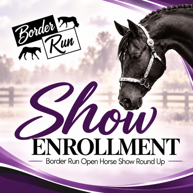 A black horse with a decorative bridle stands in the foreground against a blurred background of a fence and trees, accompanied by "Show Enrollment" text and a "Border Run" logo.