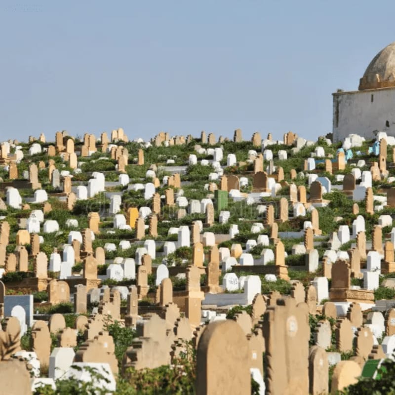Numerous white and tan headstones fill a grassy hillside in the foreground, with a domed white building standing against a clear blue sky in the background.