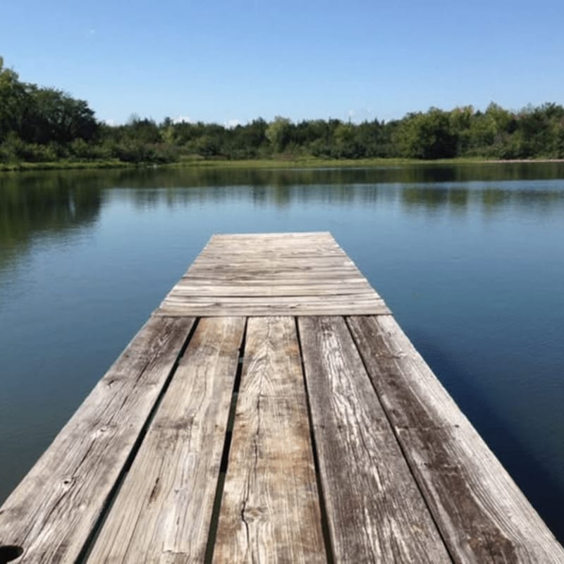 A weathered wooden dock extends into a calm lake surrounded by a lush green forest under a clear blue sky.