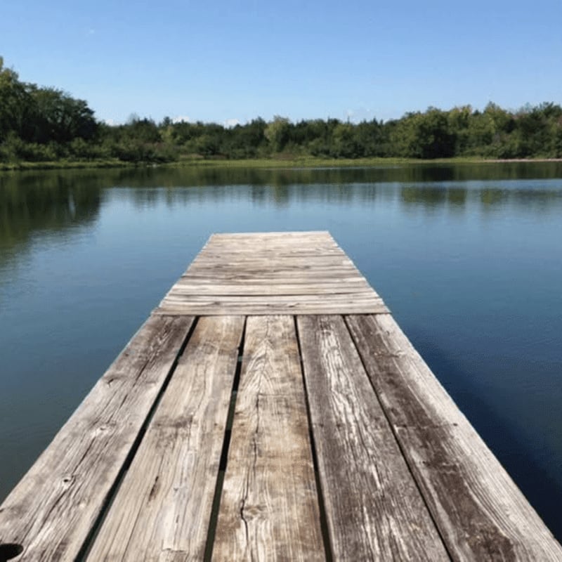 A weathered wooden dock extends into a calm lake surrounded by a lush green forest under a clear blue sky.