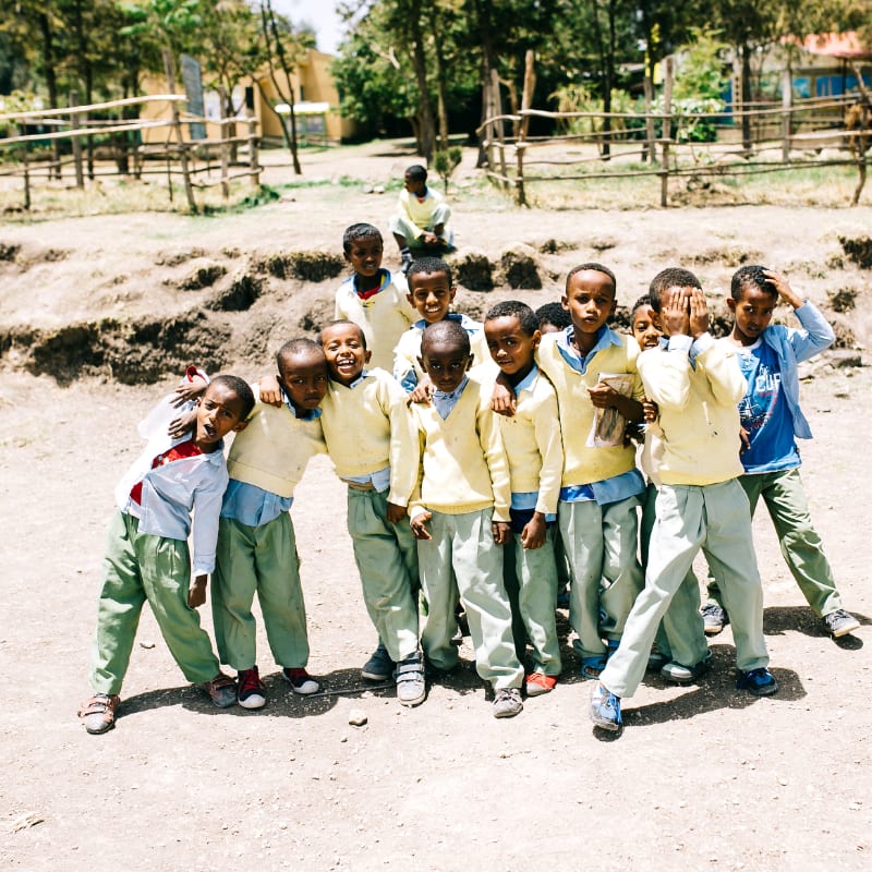 A group of children in yellow shirts and green pants stand together in the foreground, with a wooden fence and trees in the background.