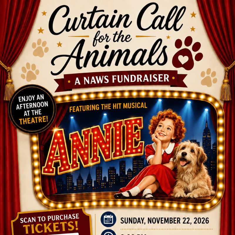 A promotional poster for a fundraiser features a young girl and a dog on a theater stage in the foreground, set against a backdrop of a city skyline and red curtains.
