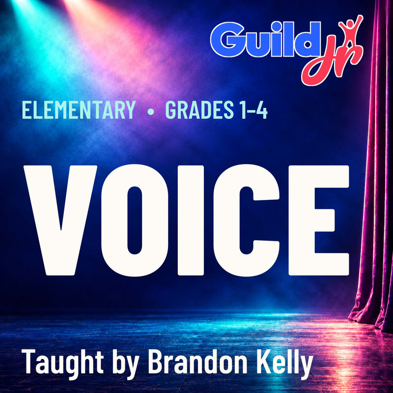 Large white text reading "VOICE" and "Taught by Brandon Kelly" sits in the foreground against a background of a dark stage illuminated by colorful spotlights and a red curtain.