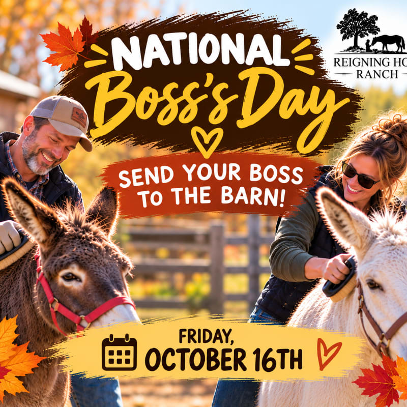 A man and woman brush donkeys in the foreground of a promotional flyer for National Boss's Day set against a rustic ranch background.