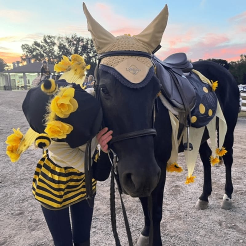 A person dressed in a bee costume hugs a black horse wearing matching yellow and black gear against a backdrop of a sandy arena and a sunset sky.