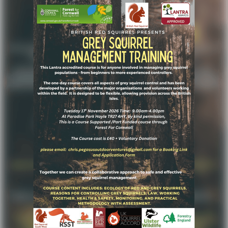 A promotional flyer for Grey Squirrel Management Training is centered against a blurred background of a dark forest.
