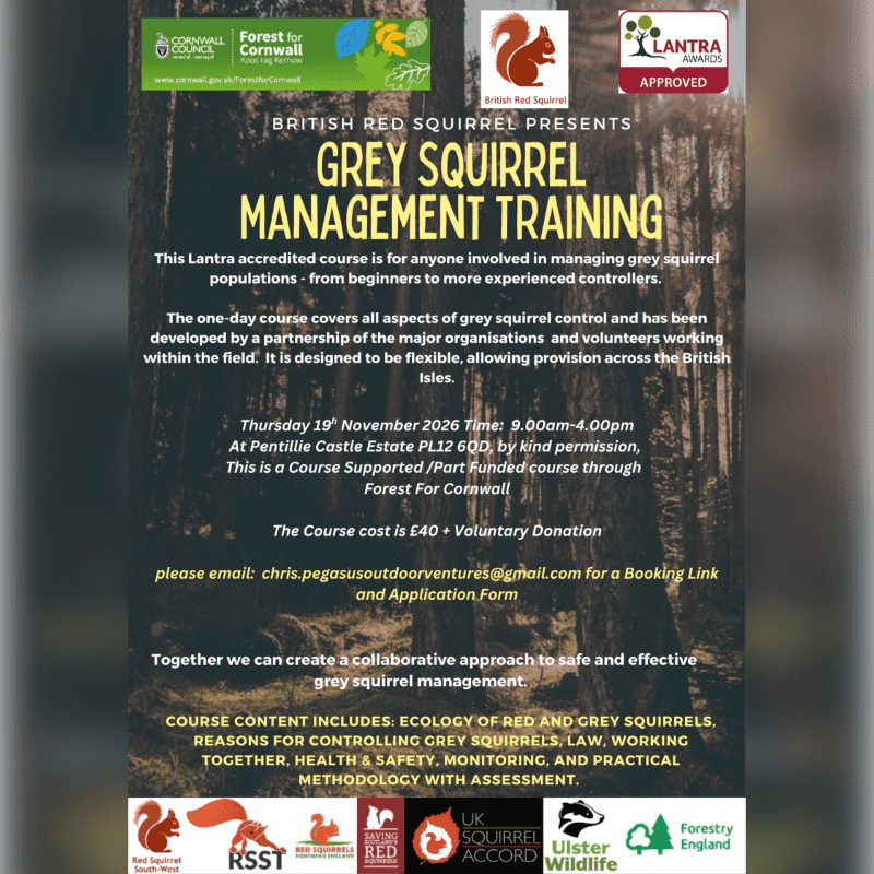 A promotional flyer for grey squirrel management training is centered in the foreground against a blurred background of a dark forest.
