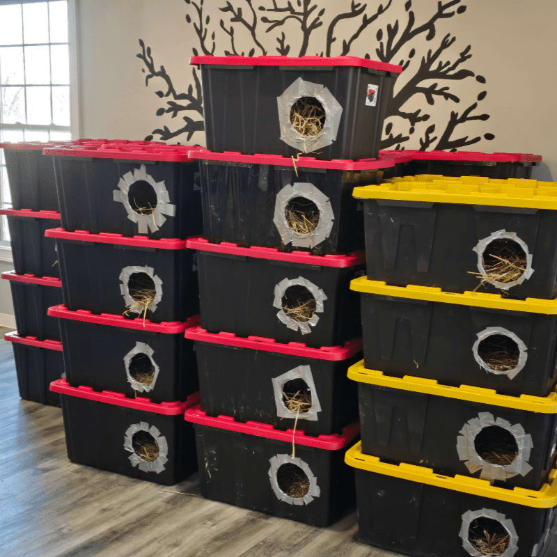 Stacks of black plastic bins with red and yellow lids and circular openings sit in a room against a wall featuring a black tree silhouette.
