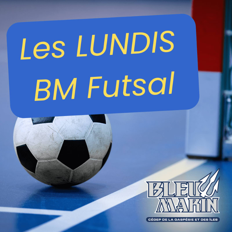 A soccer ball sits on a blue indoor court in the foreground, with a blue text box and a goal post in the background.
