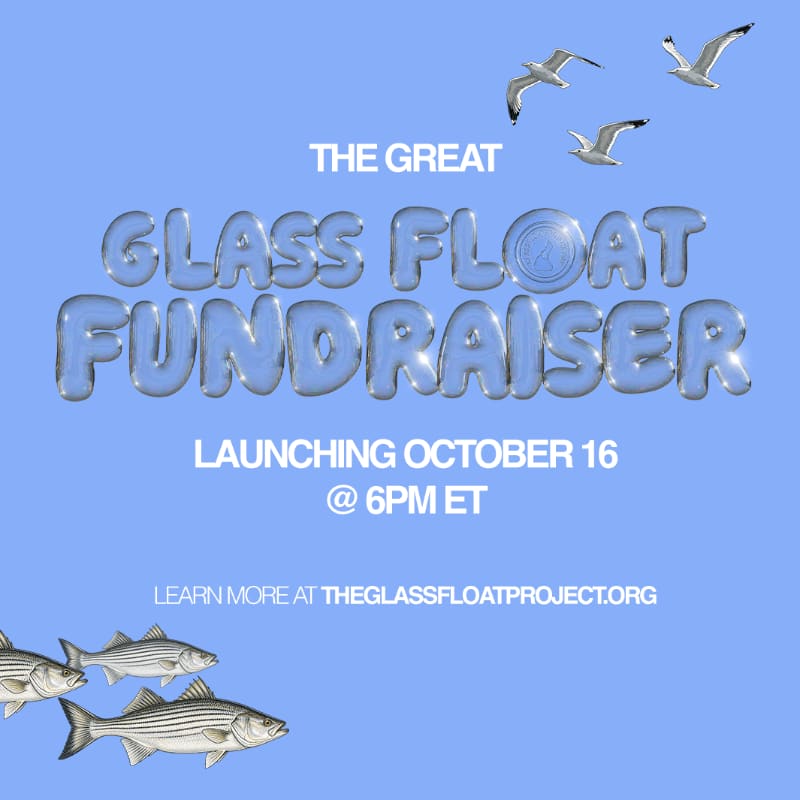 Bubble-style text announcing "The Great Glass Float Fundraiser" is centered against a light blue background featuring seagulls in the upper right and fish in the lower left.