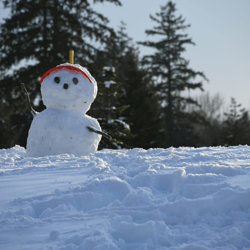 rule of thirds photography of snowman