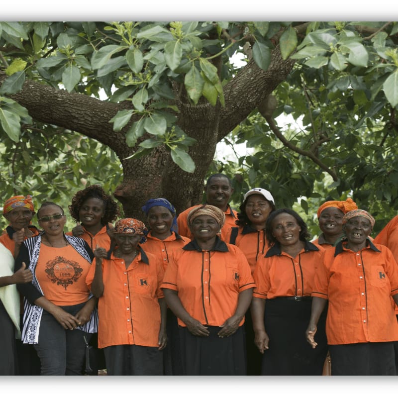 A group of women wearing orange shirts stand together in the foreground beneath the sprawling branches of a large, leafy tree.