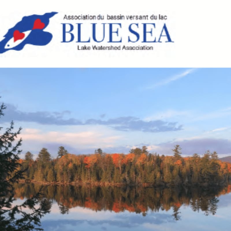A logo for the Blue Sea Lake Watershed Association sits above a scenic landscape of autumn trees reflecting in a calm lake under a blue sky.