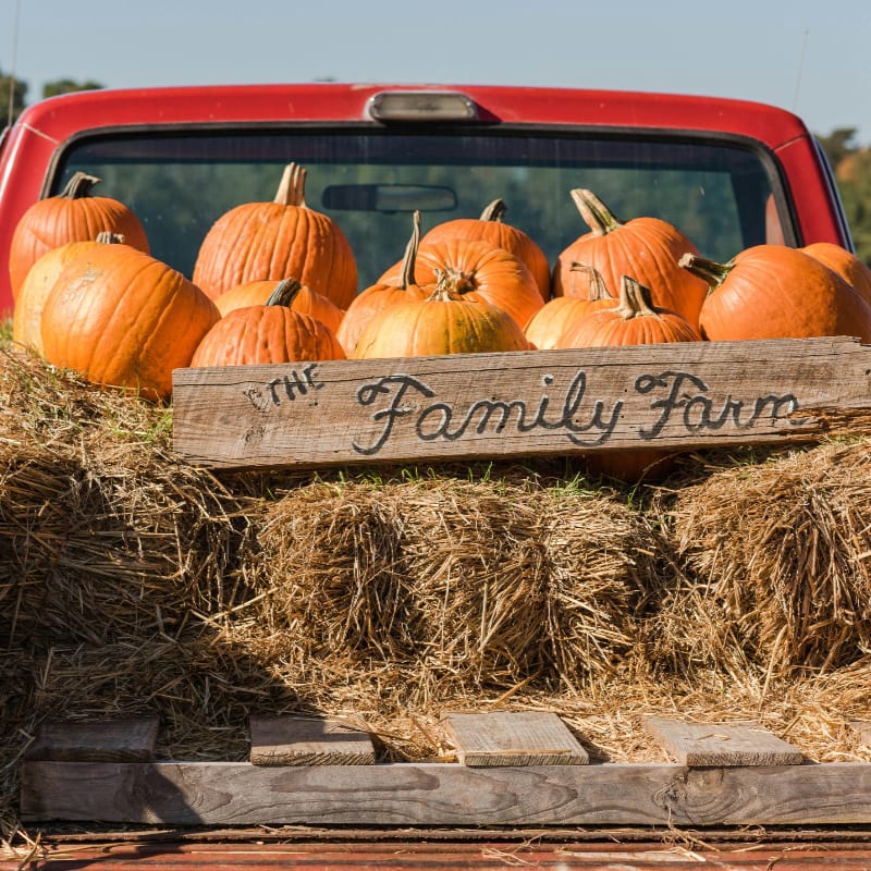a red pick up truck filled with pumpkins