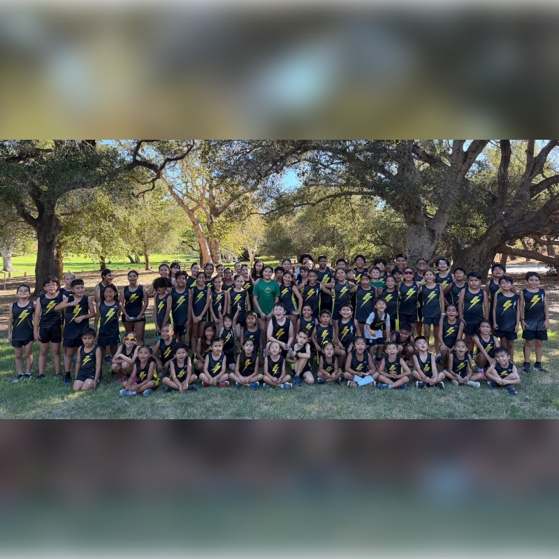 A large group of children in matching black and yellow athletic uniforms pose for a photo in a grassy field backed by large, leafy trees.
