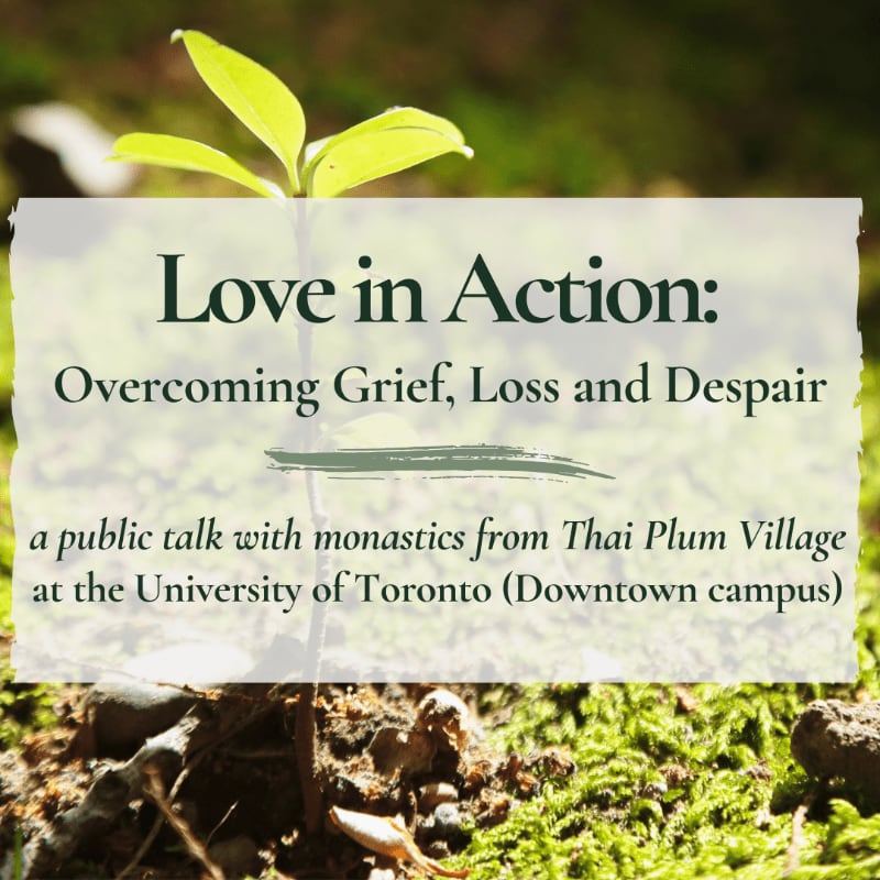 A text overlay announcing a public talk sits atop a close-up of a small green sprout growing from mossy soil.