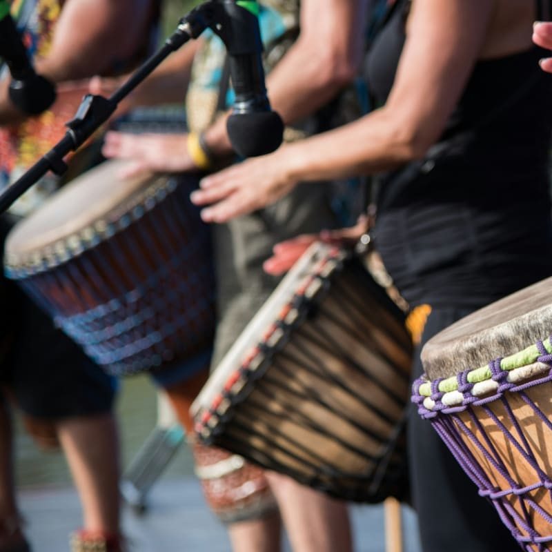 people playing goblet drums during daytime