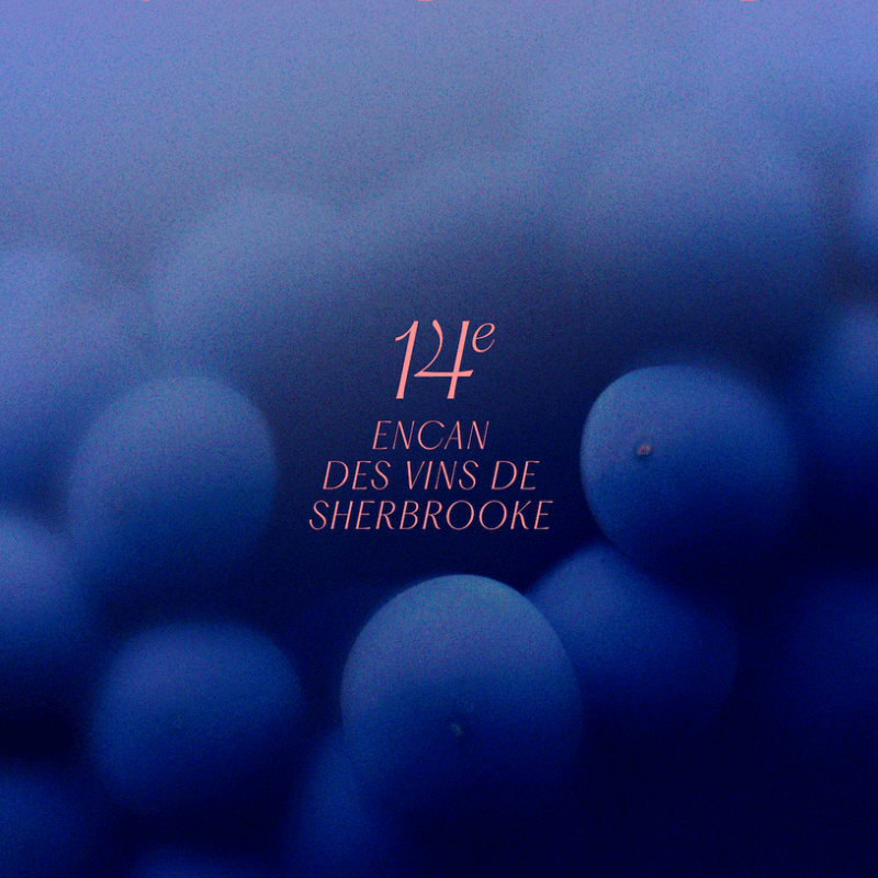 Pink text reading "14e ENCAN DES VINS DE SHERBROOKE" is centered over a blurred background of deep blue grapes.