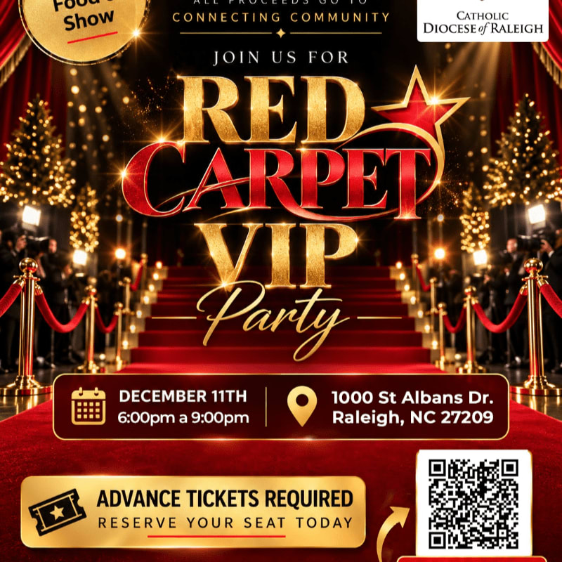 A red carpet leads toward a gold and red "Red Carpet VIP Party" sign, flanked by velvet ropes and Christmas trees against a dark, sparkling background.