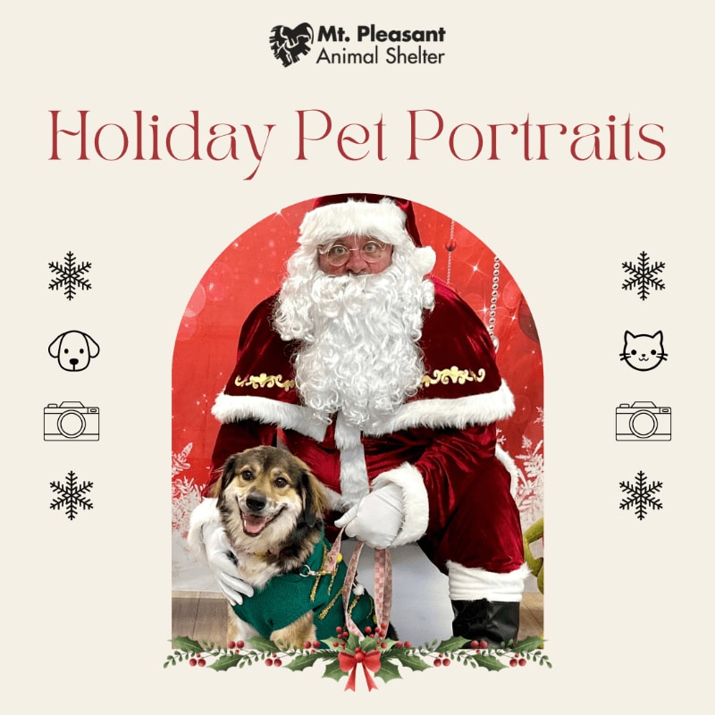 Santa Claus poses with a smiling dog in the foreground against a red backdrop, surrounded by holiday-themed text and icons on a light beige background.