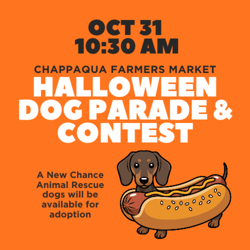 A dachshund dressed as a hot dog sits in the foreground against an orange background featuring text for a Halloween Dog Parade & Contest.