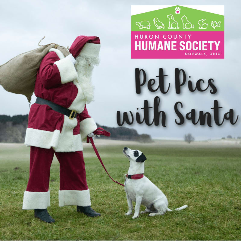 Santa Claus stands in a grassy field holding a leash for a small white dog, with a cloudy sky and distant trees in the background.