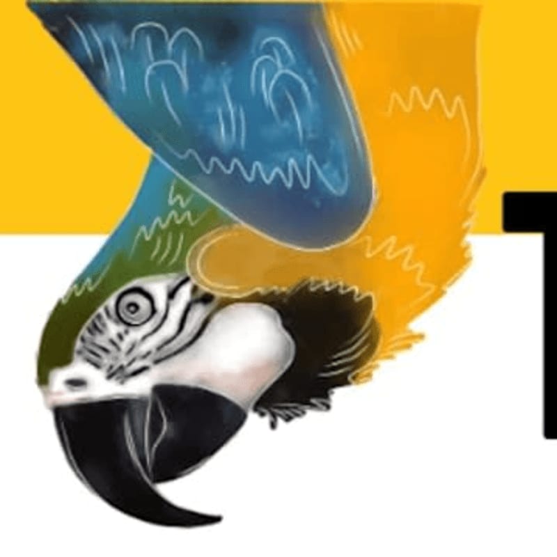 A colorful macaw is positioned on the left against a background split horizontally between yellow and white, featuring the text "TAKE FLIGHT TRIVIA NIGHT."