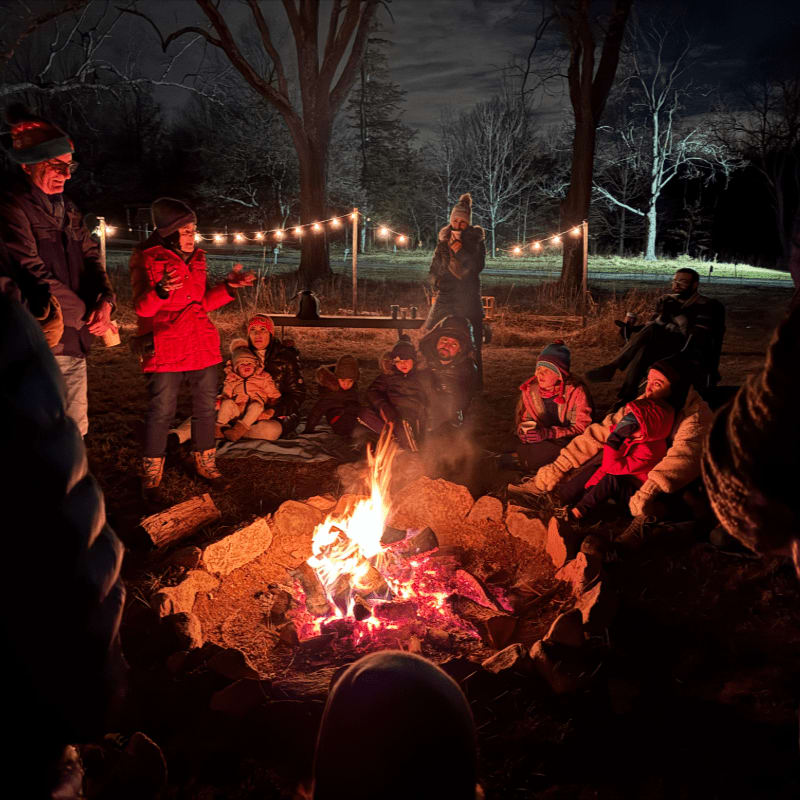 A group of people in winter clothing gather around a glowing campfire in the foreground, with bare trees and string lights under a dark night sky in the background.