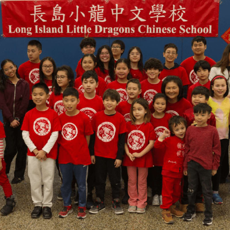 A group of children and adults wearing red shirts pose for a photo in front of a red banner for the Long Island Little Dragons Chinese School.