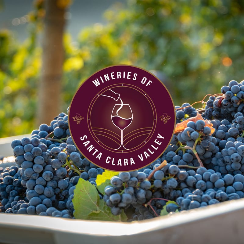 A circular "Wineries of Santa Clara Valley" logo is centered over a pile of harvested blue grapes with a blurred vineyard in the background.