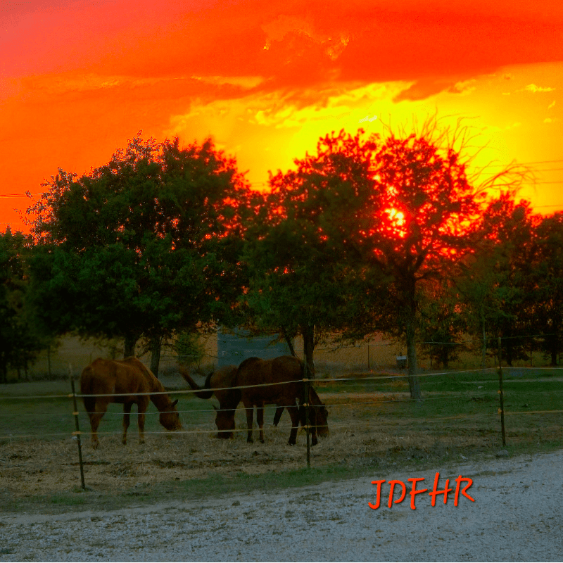 Brown horses graze in a fenced pasture beneath lush green trees and a vibrant, fiery orange and yellow sunset.