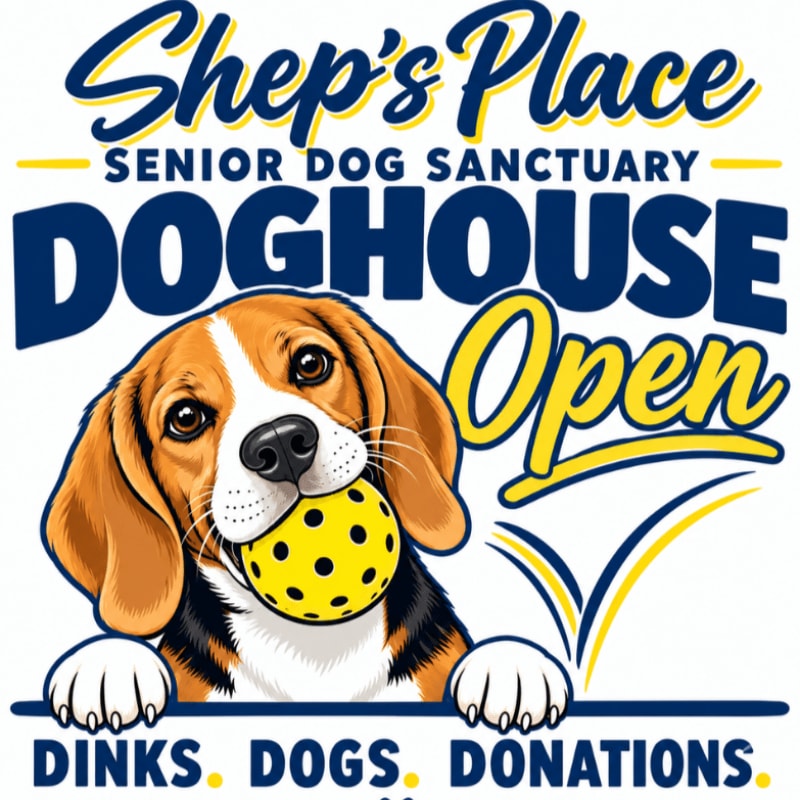 A beagle holding a yellow polka-dot ball in its mouth is positioned in the foreground, set against a white background with blue and yellow text for "Shep's Place Senior Dog Sanctuary."