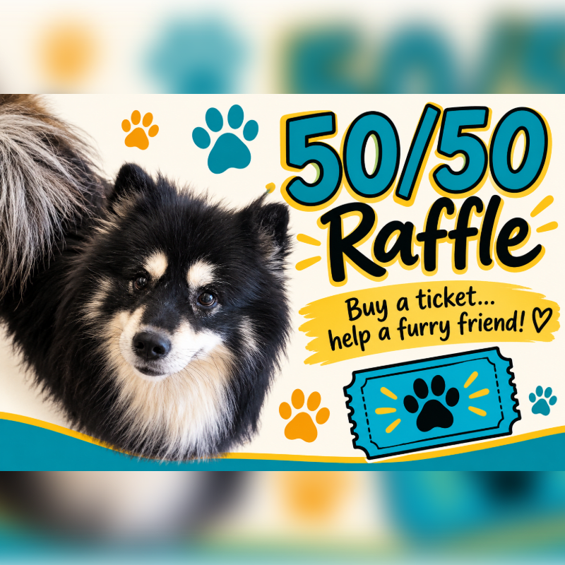 A fluffy black and white dog sits in the foreground next to "50/50 Raffle" text and a ticket icon against a light-colored background.