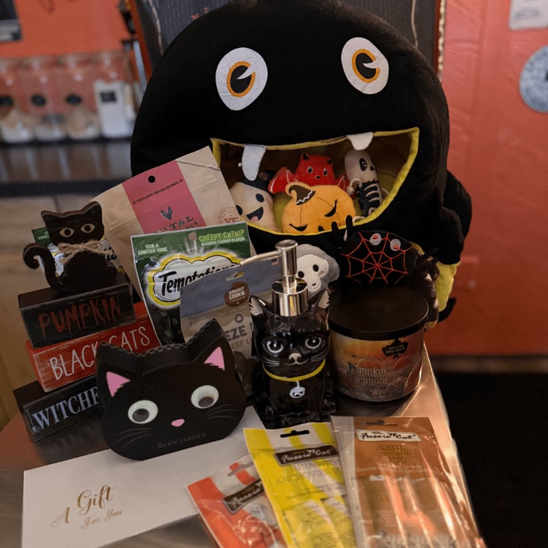 A collection of Halloween-themed cat treats and accessories sits in the foreground, with a large black monster plushie acting as a backdrop.