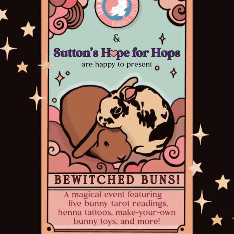 Two cuddled rabbits are centered in the foreground of a colorful event flyer set against a dark background adorned with stars.