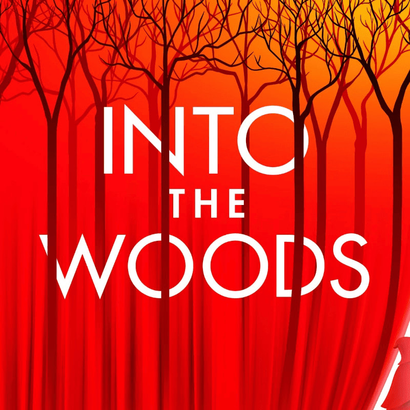 Silhouetted trees with bare branches form the foreground against a vibrant red and orange gradient background, with the words "INTO THE WOODS" emblazoned in white text.
