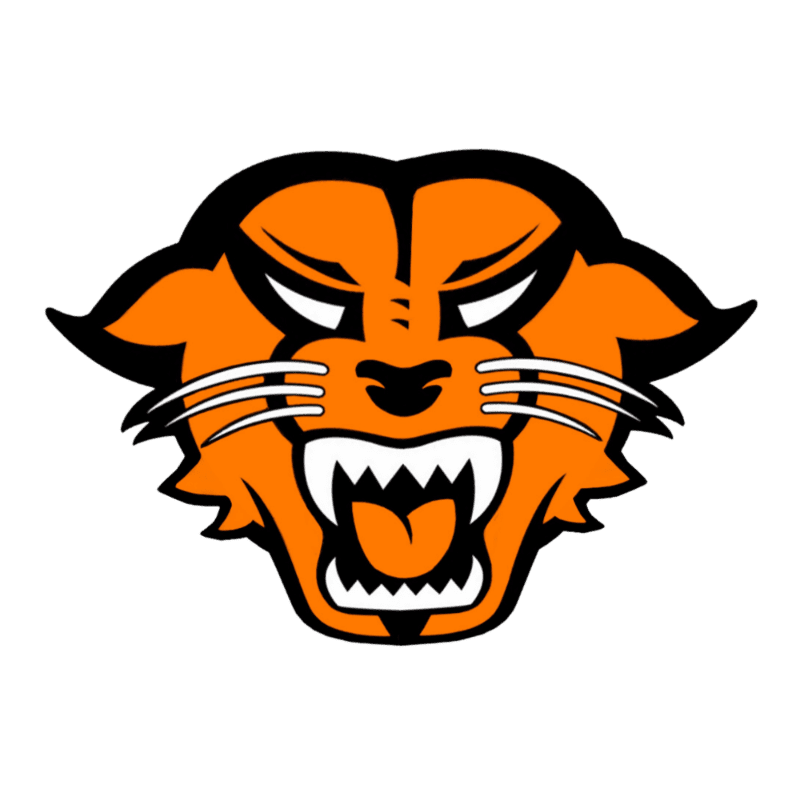 An orange tiger head with an aggressive expression is centered against a plain white background.
